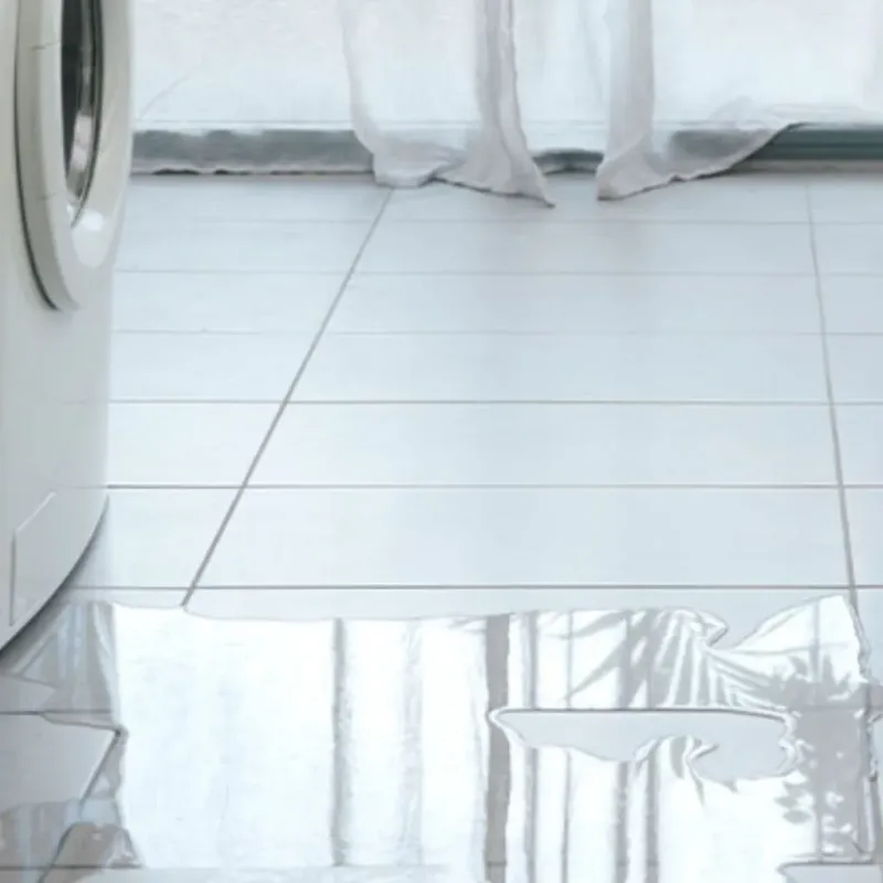 Appliance Leak Cleanup in Shawneetown, IL