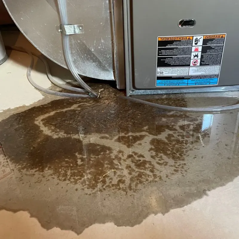 Pipe Burst and Leak Restoration in Shawneetown, IL