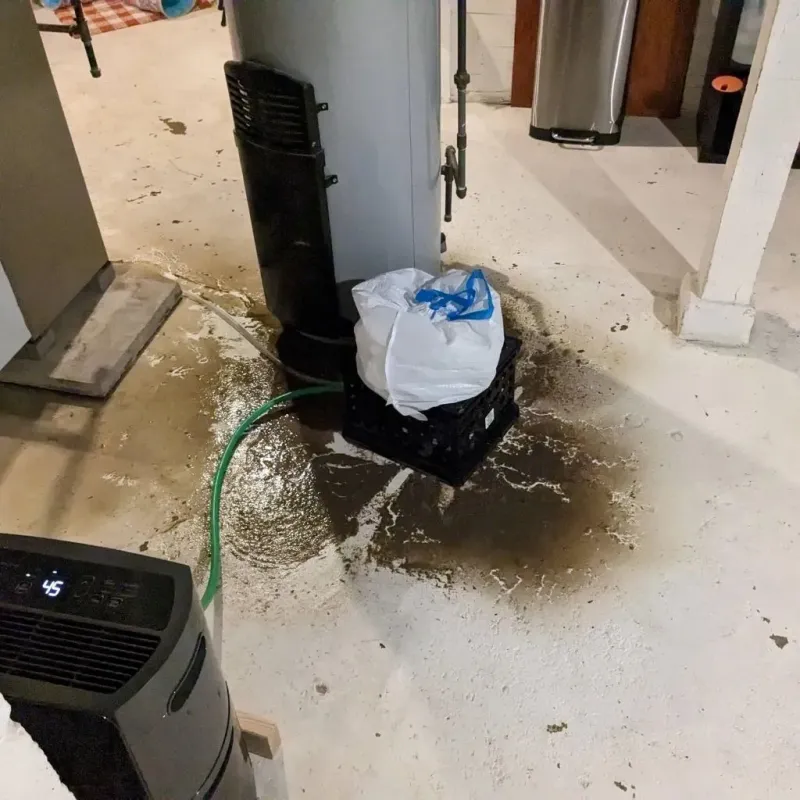 Sewage Backup Cleanup Service in Shawneetown, IL